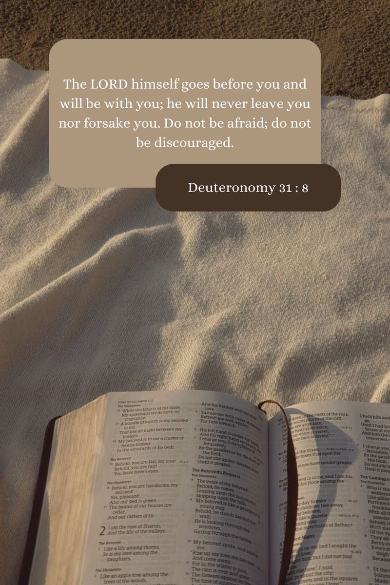 The Soul tweet media