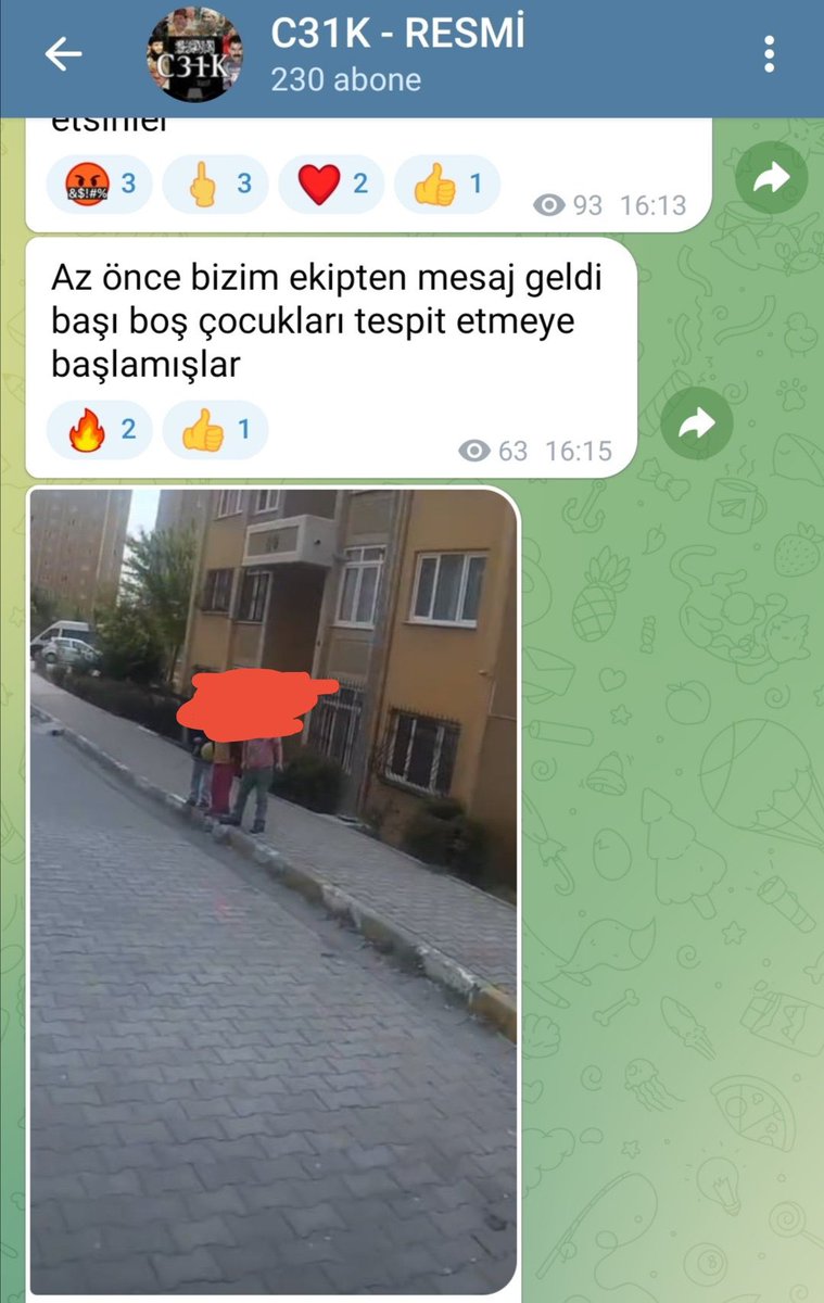 𝑪𝐢𝐡𝐚𝐧 🐾 tweet media