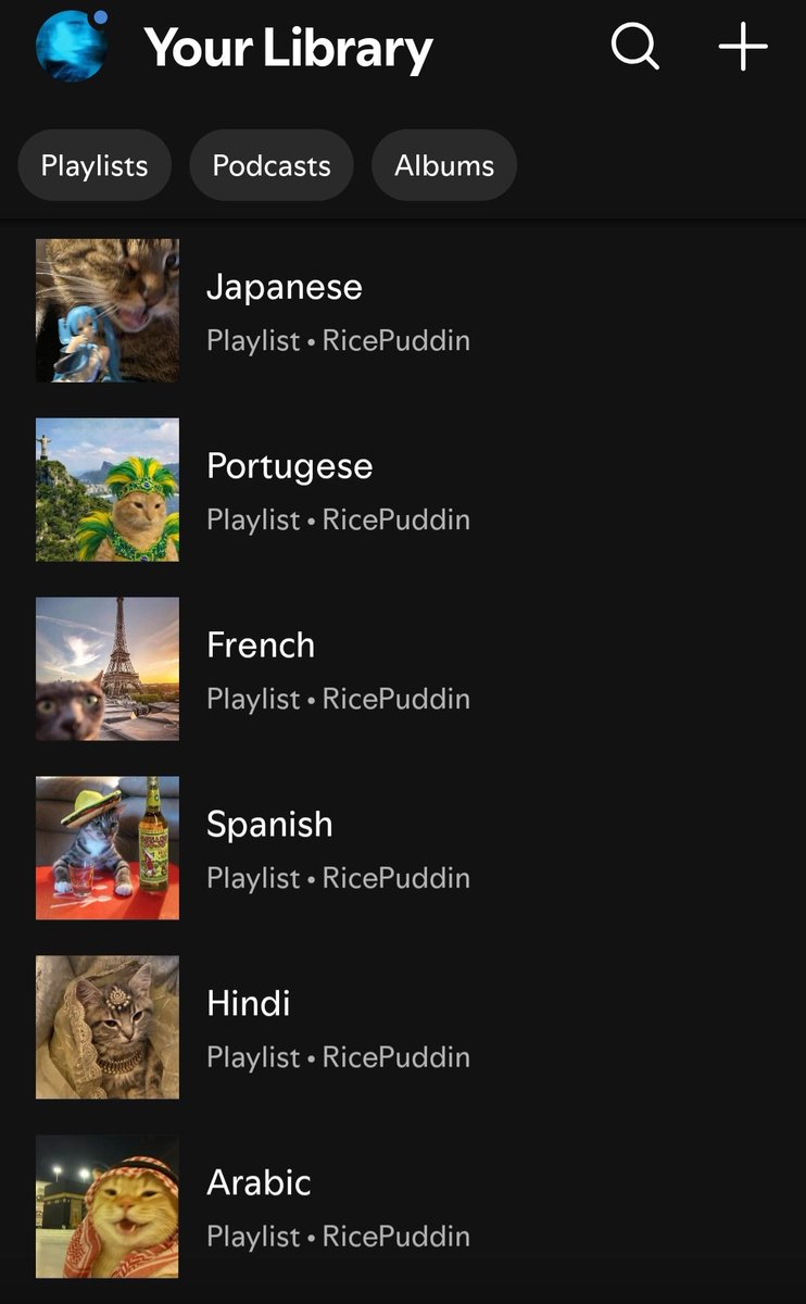 𝕻𝖔𝖈𝖐𝖞 𖣂 (7/30) tweet media