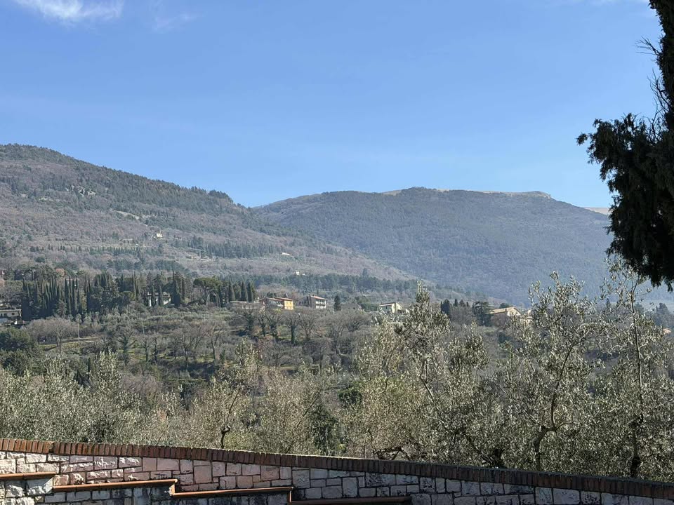 Assisi Italy tweet media