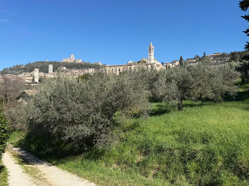 Assisi Italy tweet media