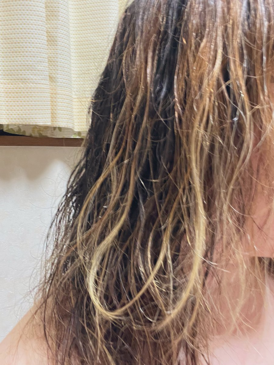 なんやかんやでこんな就寝タイムになってしもた…やっぱり今ポンコツ過ぎてやばいな、と改めて感じる。そして、まったく関係ないがコレも今更ながらだし改めて思ったのは、私って癖っ毛なんだなぁと。髪乾かす前こんなん。ベビの頃は、くるんくるんだったんだよ。どーでもいい情報。早く眠りましょ💨