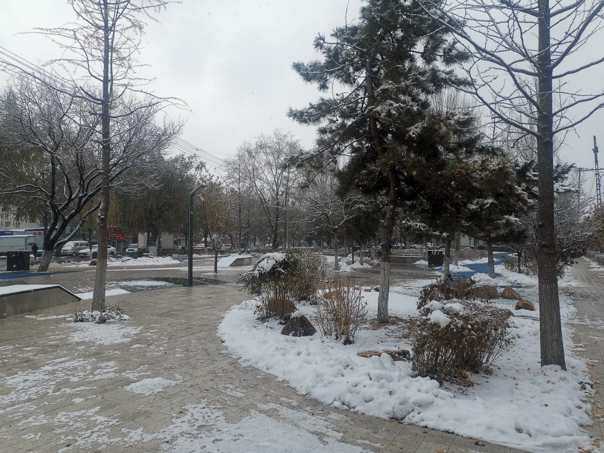 Tahsin Mahfuz tweet media