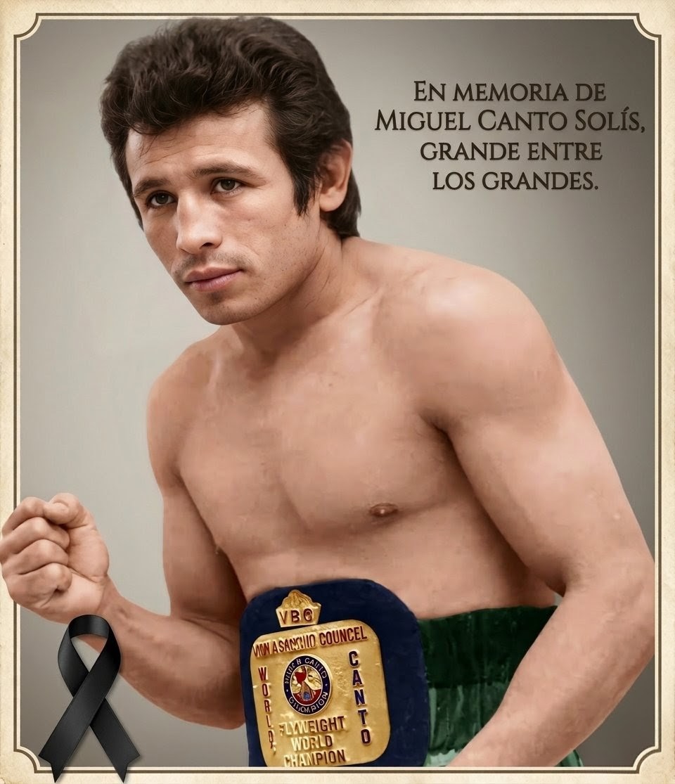 TiburonesPrem's tweet photo. Luto en el boxeo: Fallece el legendario Miguel Canto Solís, el "Maestro" de la técnica. 🥊🕊️

​Campeón Mundial Mosca (CMB) con 15 defensas exitosas.

​Miembro del Salón de la Fama y orgullo de Yucatán.

​Referente eterno del arte de la defensa y la inteligencia en el ring. https://t.co/zUdTarX6zz