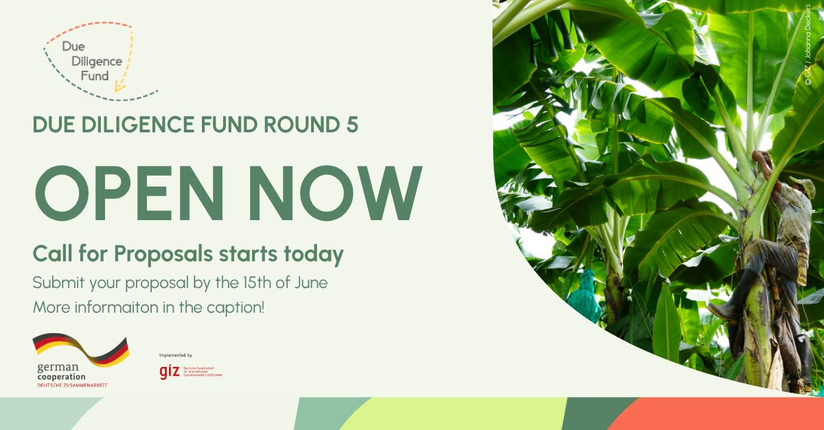 opportunitiesfy's tweet image. 💶 DDF Grants 2026
🌱 €250K funding
 🌍Agriculture projects
 🤝Global partnerships
📅 Deadline: June 15, 2026
📧 Apply: wp.me/p23f03-kCU
#Grants #Sustainability