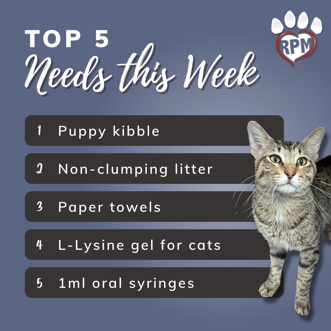 RescuedPetsMovement tweet media