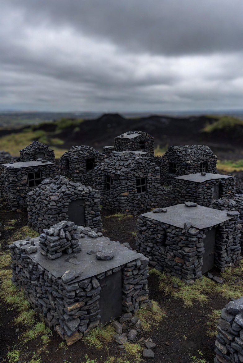 StevieDee tweet media