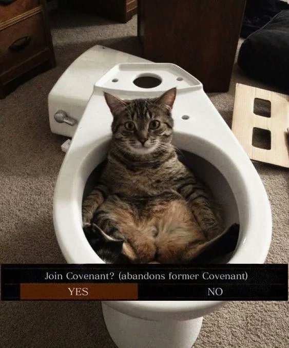 berserksouls tweet media