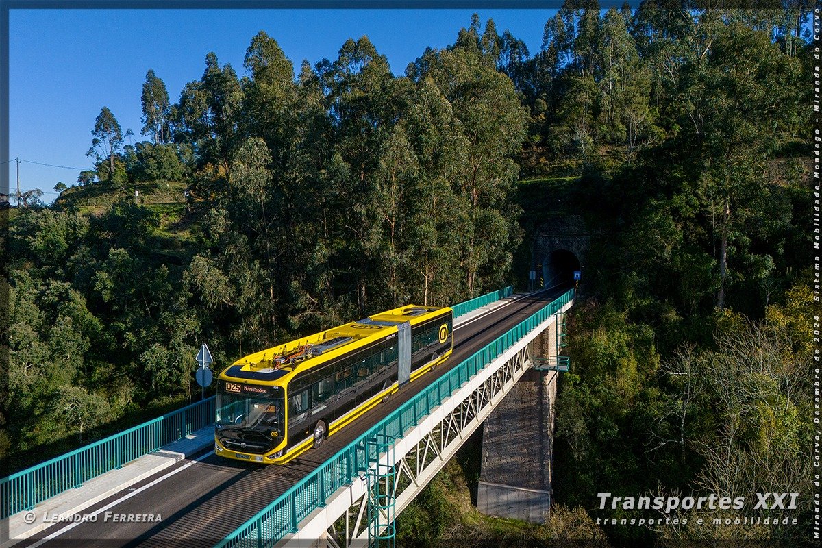 Manuel Baeta tweet media