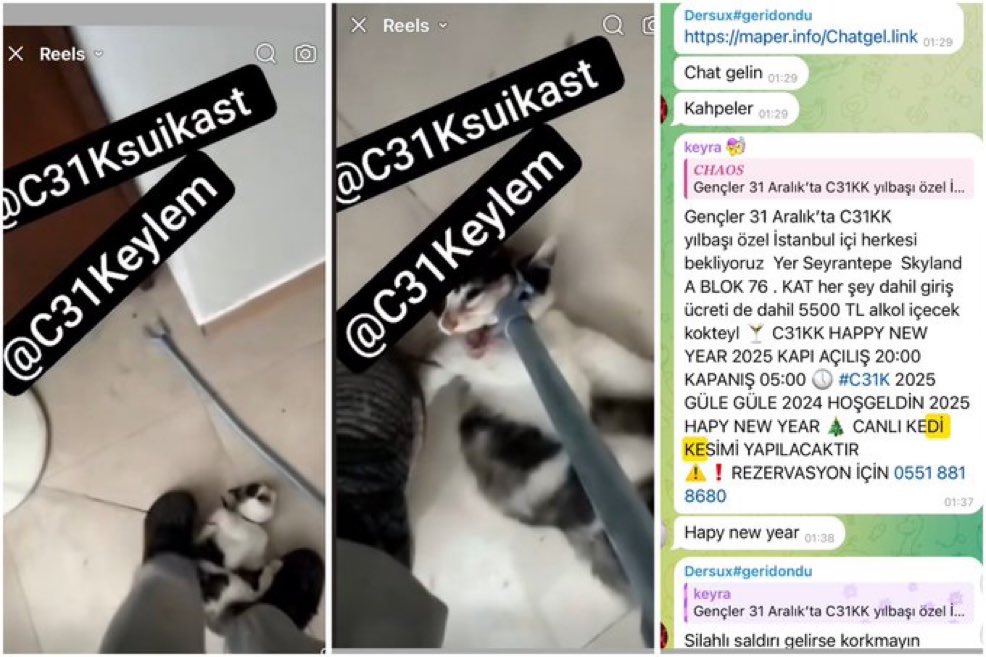 Bu rezilleri, bu çocuk, hayvan, doğa katili devlet düşmanlarını artık durdurun?

#c31kTUTUKLANSIN