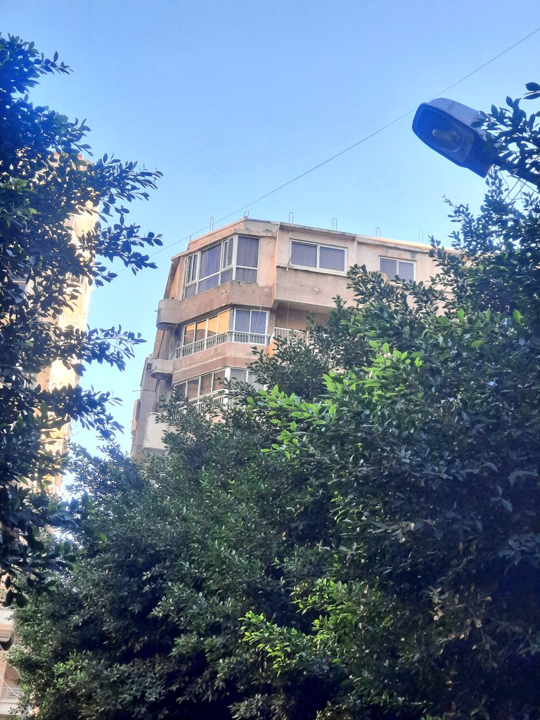 عزب شديد tweet media