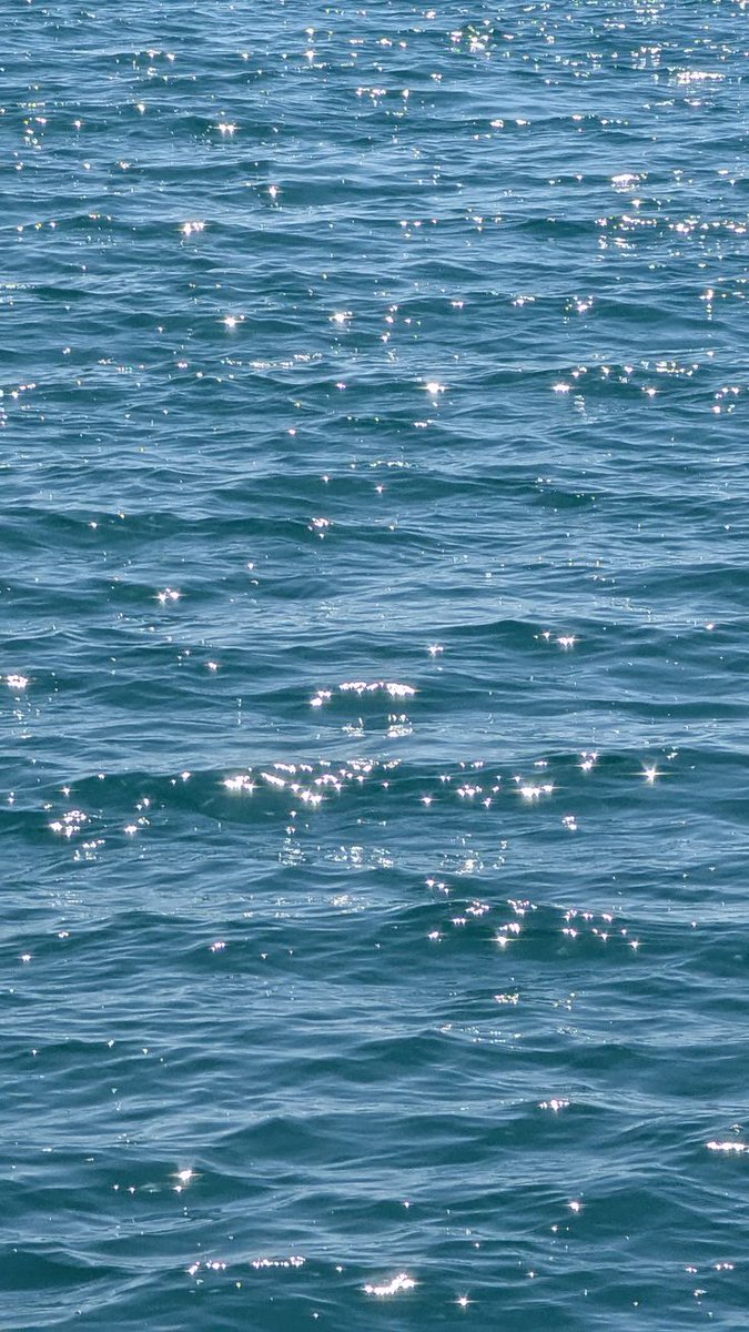 𝑝𝑢𝑟𝑒 tweet media