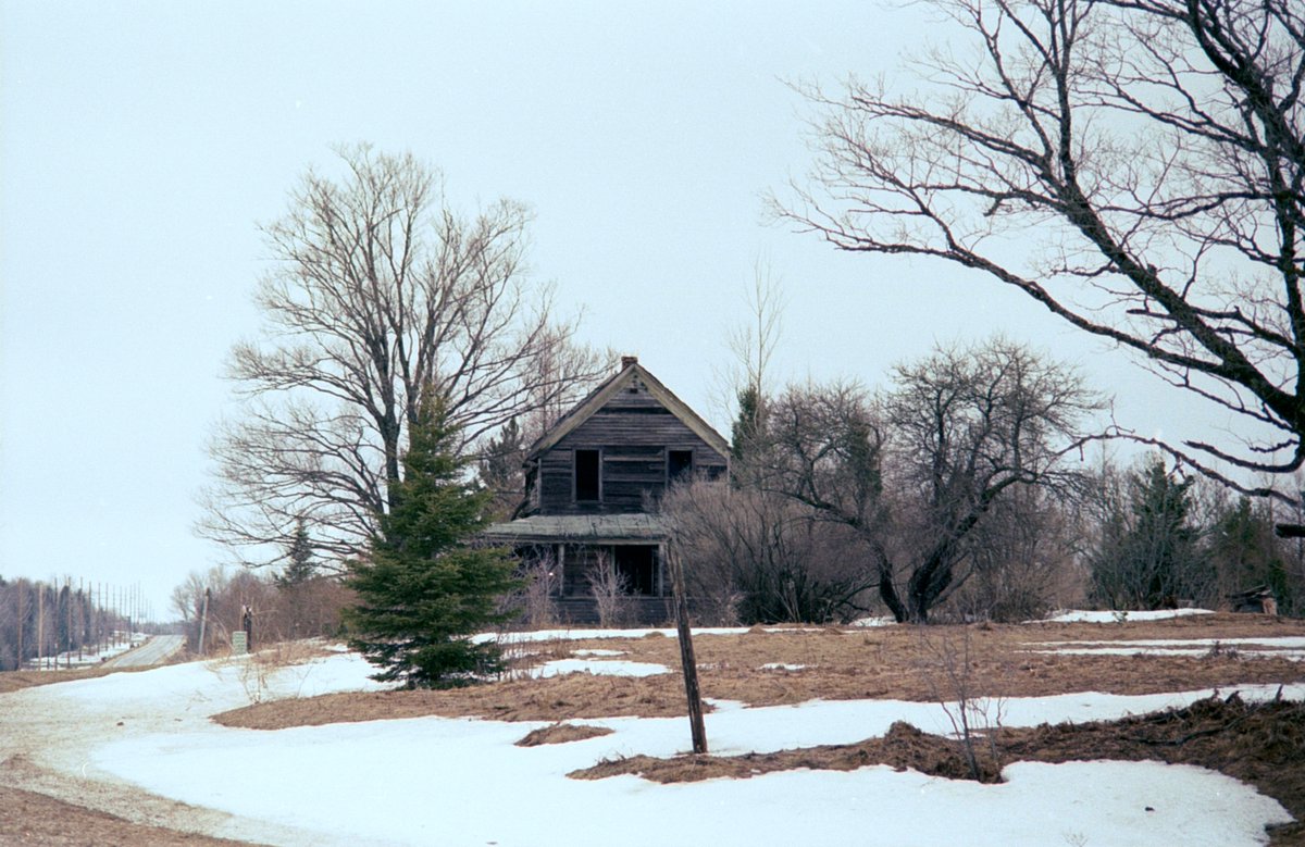 O.W. Root tweet media