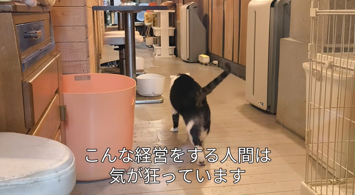 ジオラマ食堂の実態。
またまた内部告発者が出ました。

youtube.com/watch?v=xMdi8N…