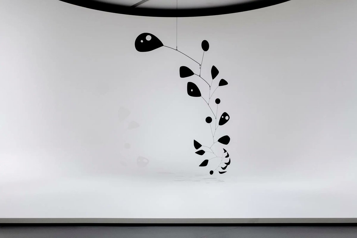 Marco Mahler tweet media