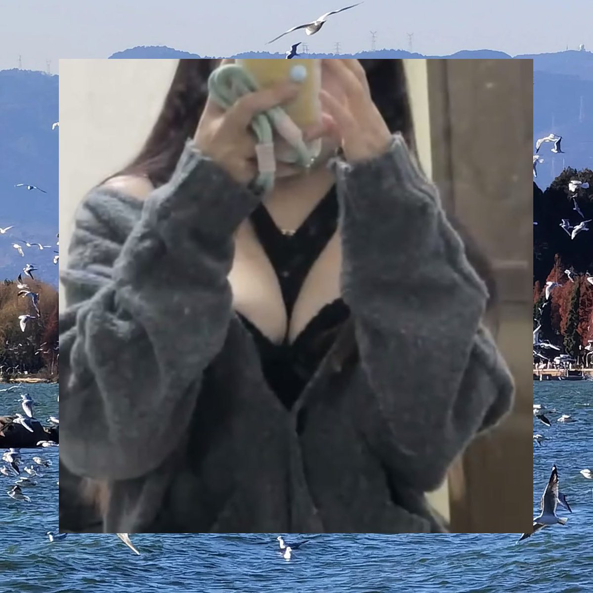 Elizabeth Campbell tweet media