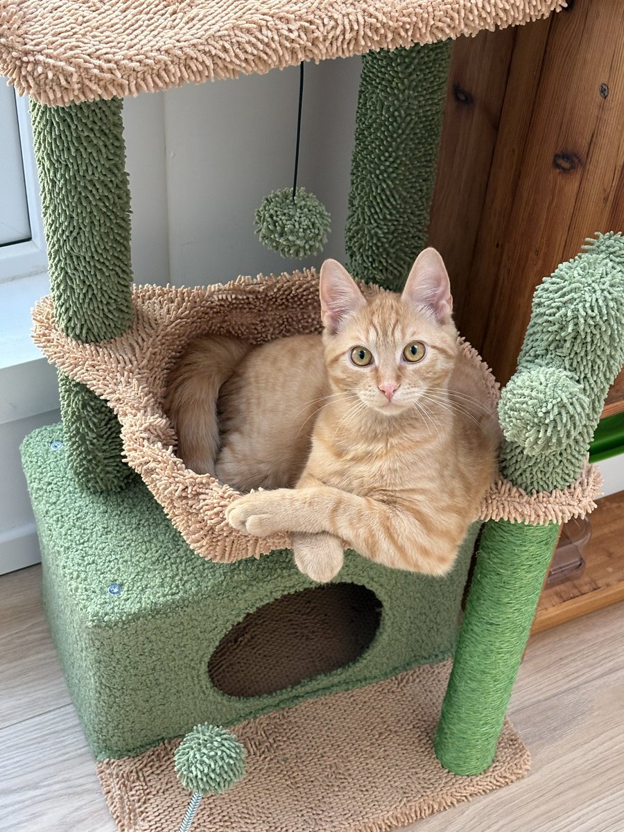 ryn (& apple) ‧₊ 🍒 ᵎᵎ tweet media