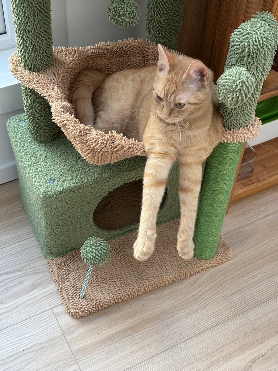 ryn (& apple) ‧₊ 🍒 ᵎᵎ tweet media