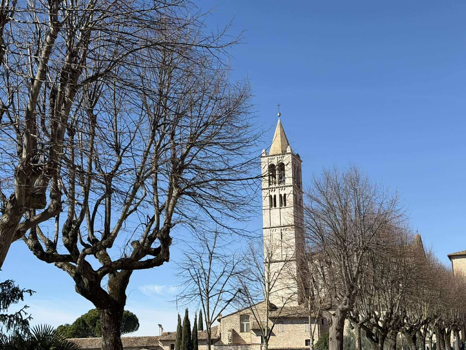 Assisi Italy tweet media