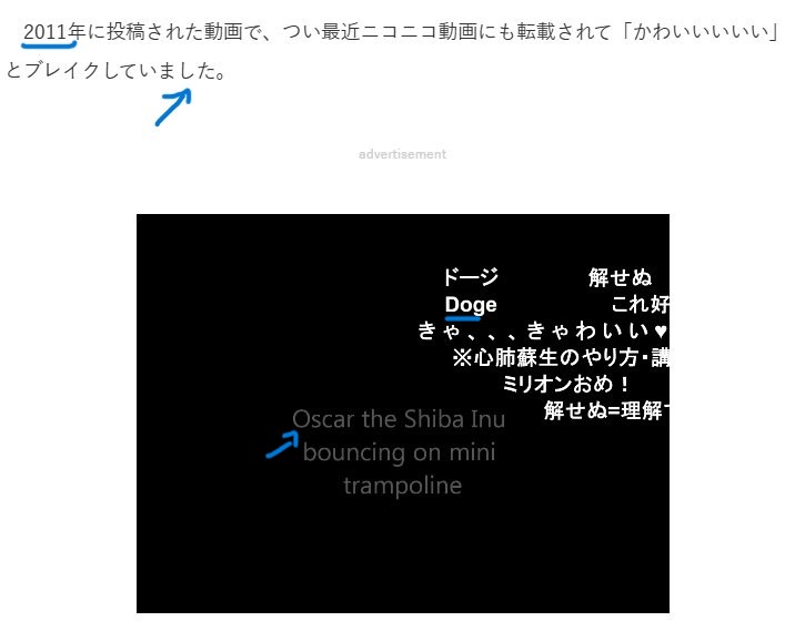 Oscar OG Shiba Inu tweet media