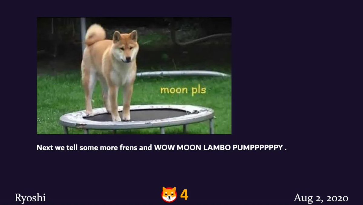 Oscar OG Shiba Inu tweet media