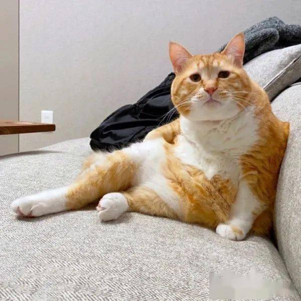 Beth Deki tweet media