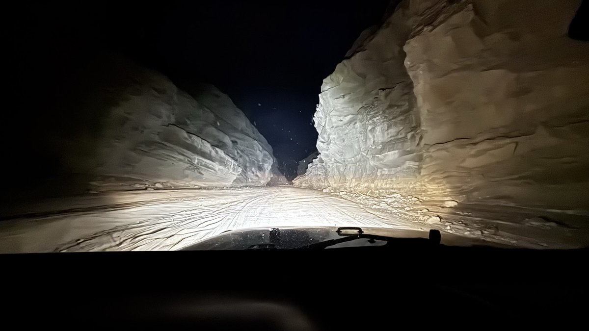 Wonder Wander Way tweet media