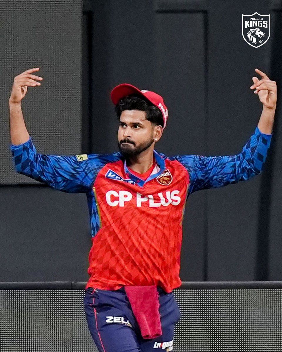 StarcyKKR tweet media