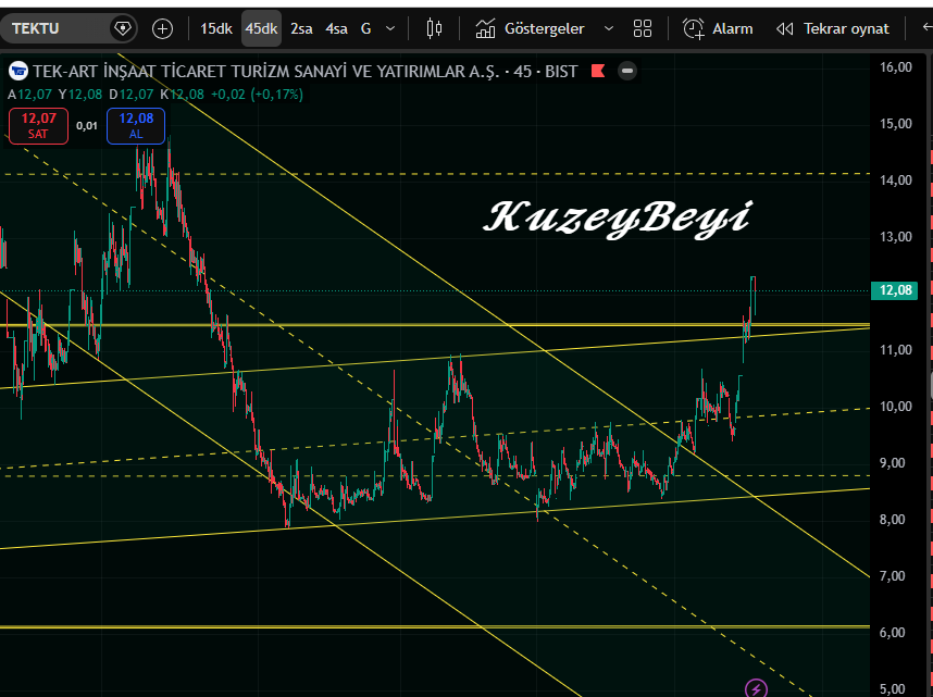 Kuzeybeyi1's tweet image. #TEKTU 
(YTD)