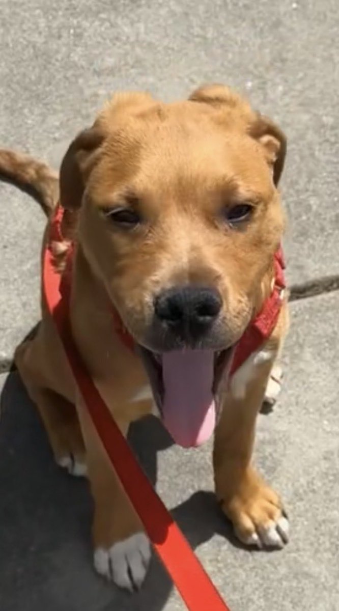 Hiker extraordinaire tweet media