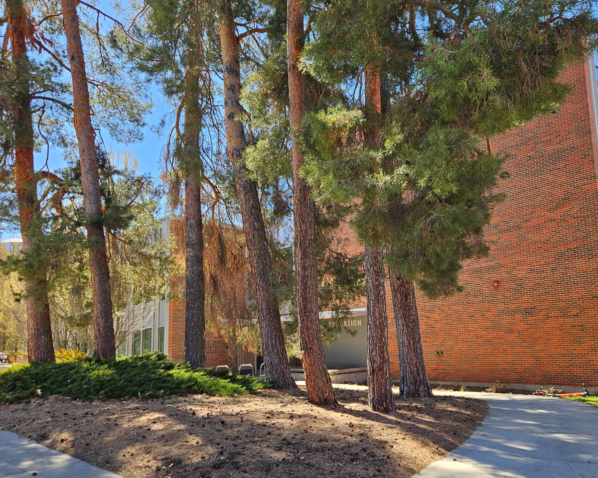 uidaho's tweet image. Then and now: College of Education 1970/2026 🌳📚
📸 Photo courtesy of the U of I Library archives.
#UIdaho #ThenAndNow
