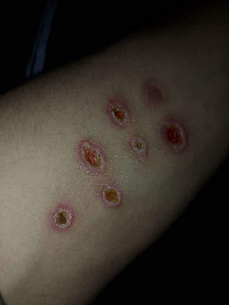 Acción y Comunicación sobre Oriente Medio - ACOM tweet media