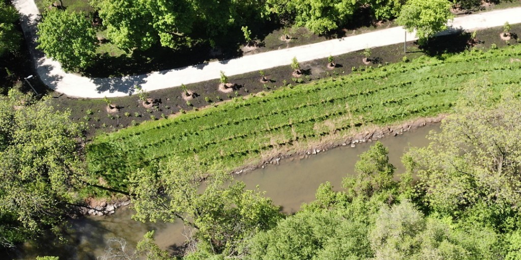 Brampton Grow Green tweet media