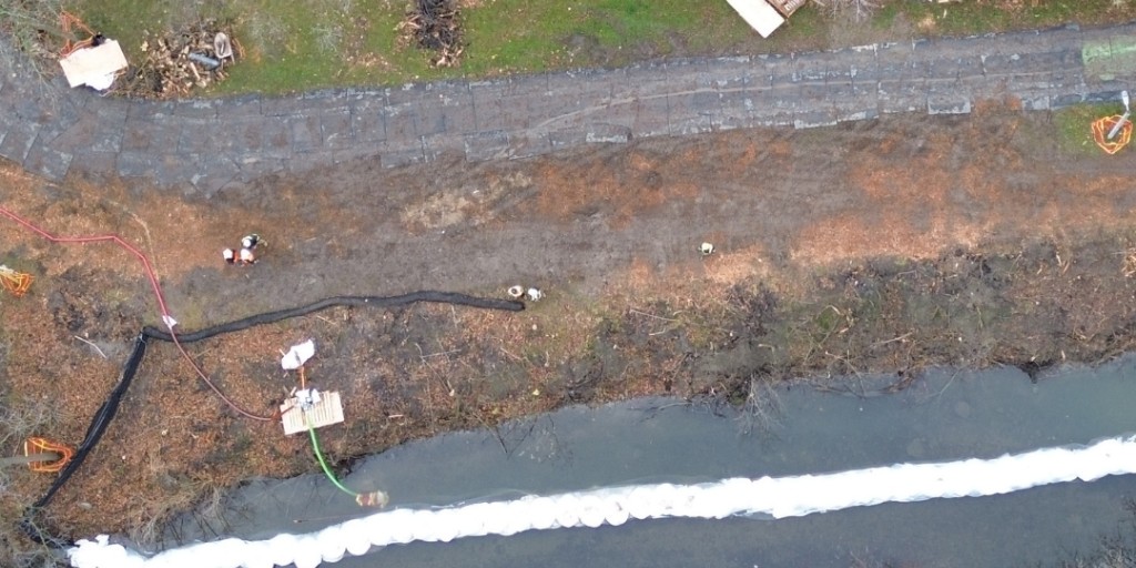 Brampton Grow Green tweet media