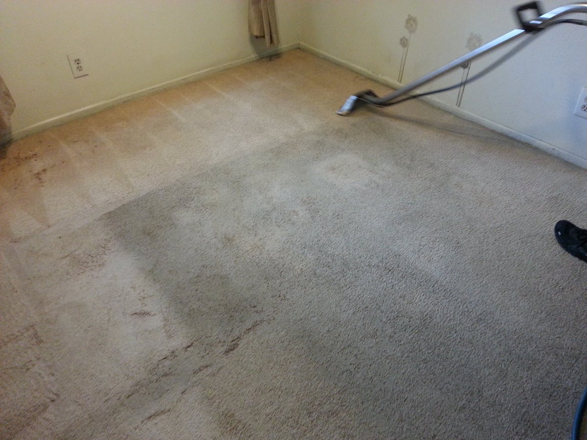 Before and after in one photo.
Left side: dirty carpet.
Right side: one pass with truck-mounted extraction.
Temperature and suction are everything. Portables don't come close.
📞 818.263.9314
bit.ly/JPFloorBook
#CarpetCleaning #LosAngeles #JPCarpet #TruckMounted