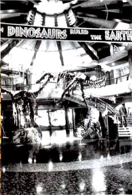 Alex Evans tweet media