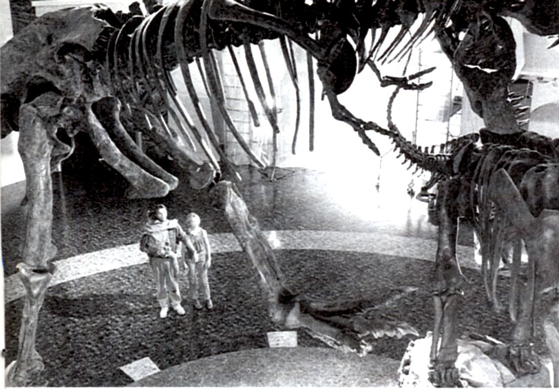 Alex Evans tweet media