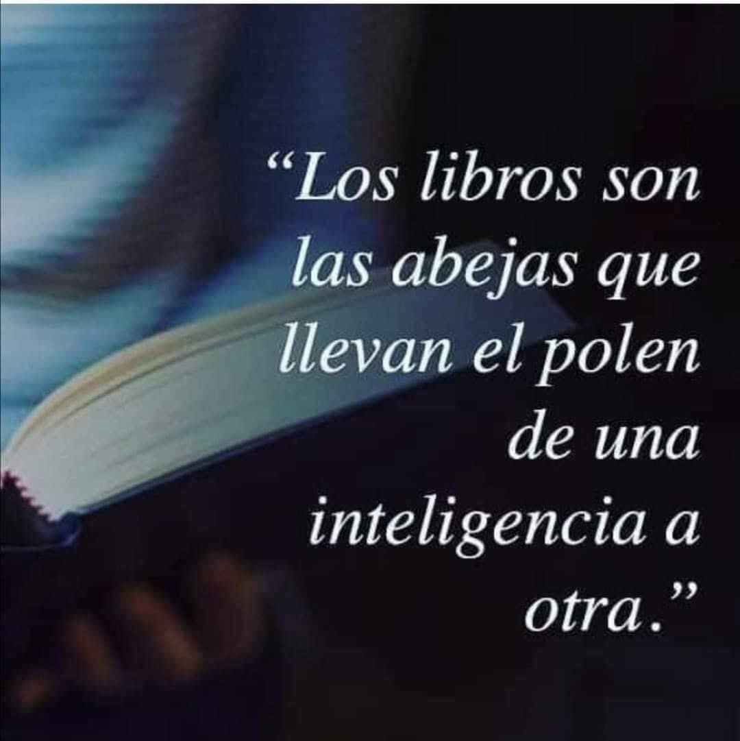 Amor por los libros tweet media