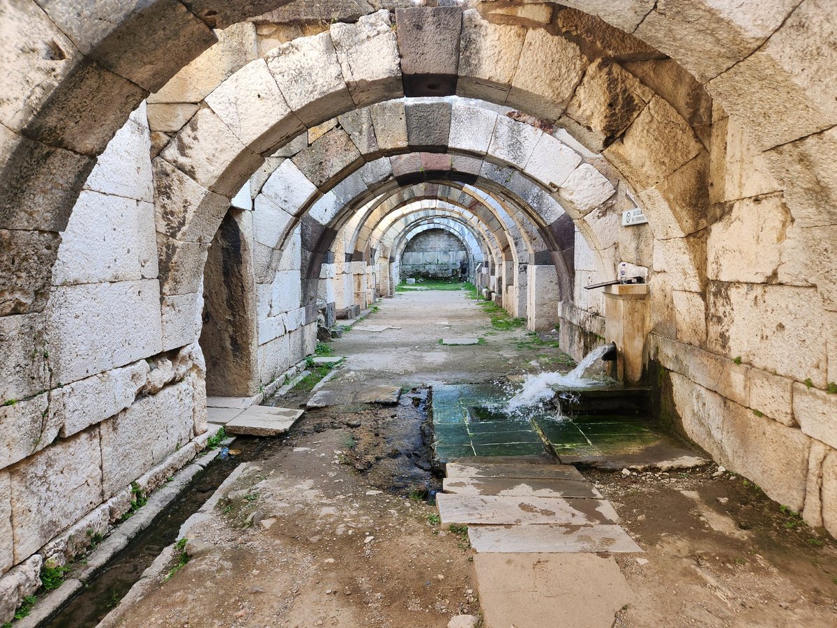 Circular Solar tweet media