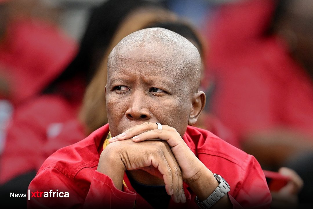 xtr_africa's tweet image. #READ South African 🇿🇦 opposition leader Julius Malema has been sentenced to five years in prison after being convicted of illegally firing a firearm during a political rally, in a ruling that could have major implications for the country’s political landscape.

Julius Malema