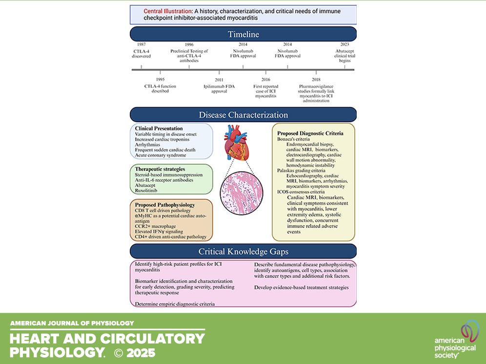 AJP-Heart and Circ tweet media