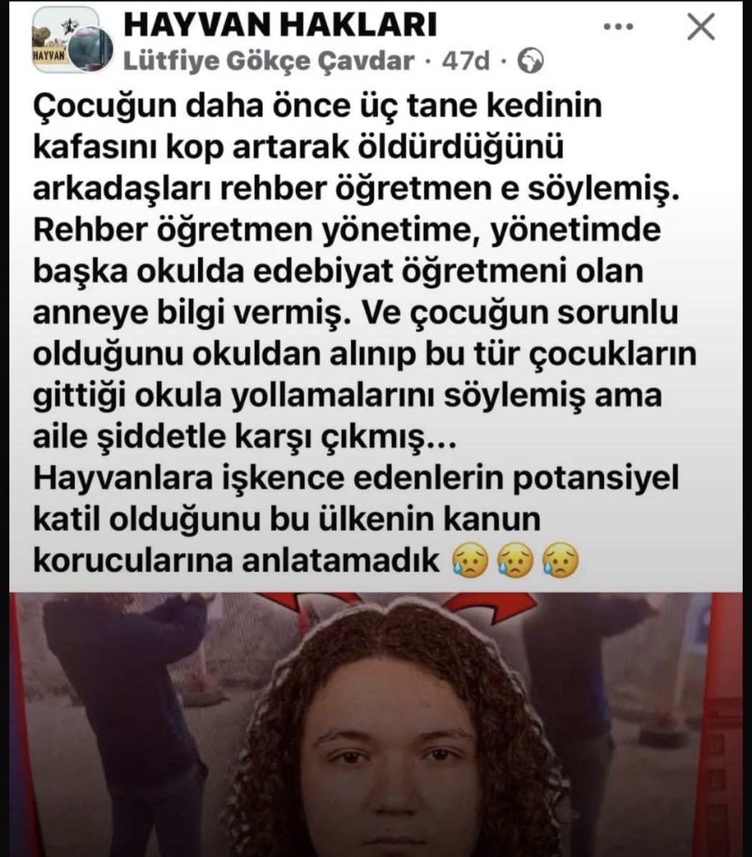 GokceAlli tweet media