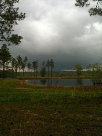Cyclone Chaser ollie tweet media