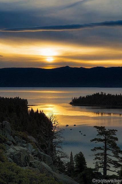 Rita Bibekum Aya🇨🇲🇩🇰 tweet media