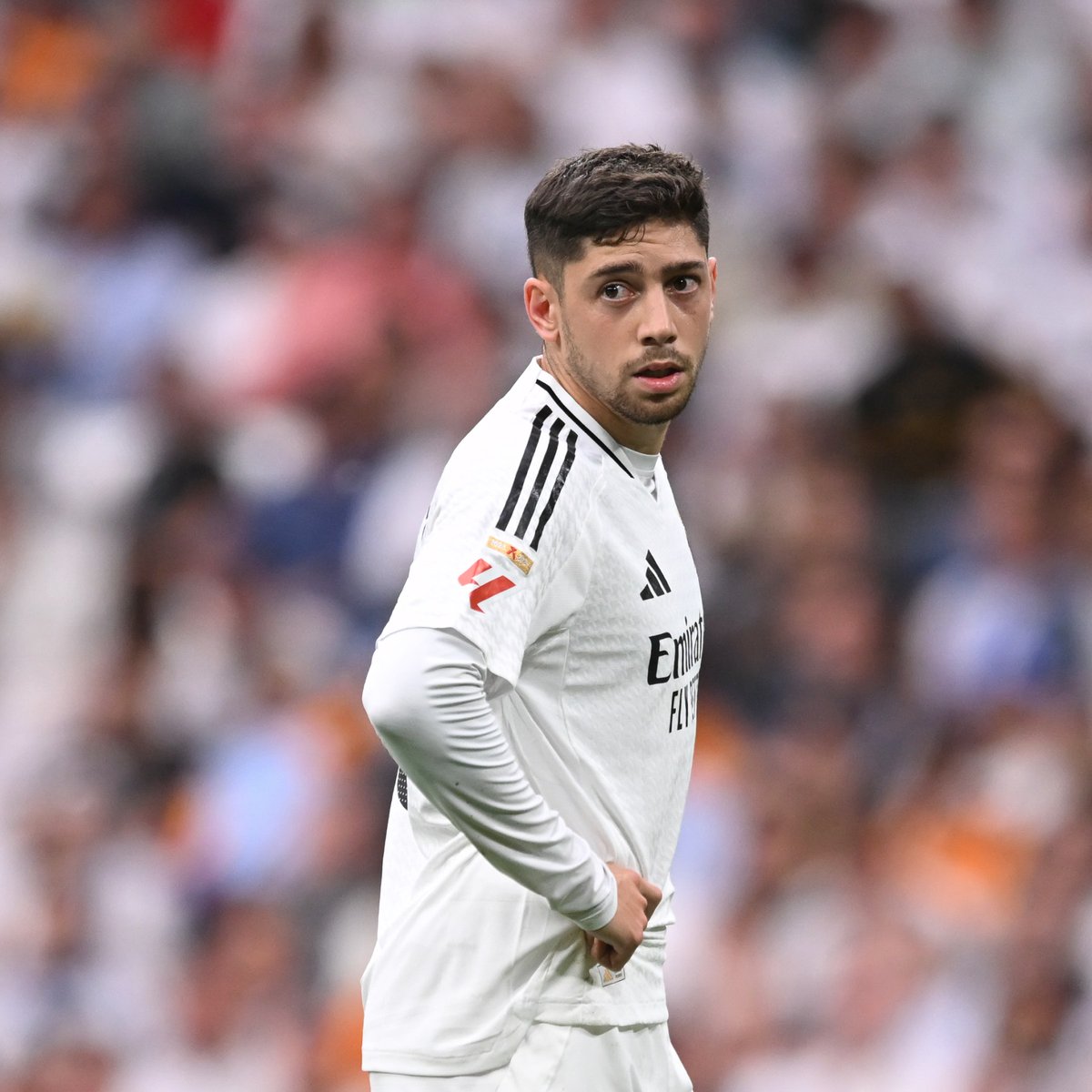 Nadjib FcB tweet media