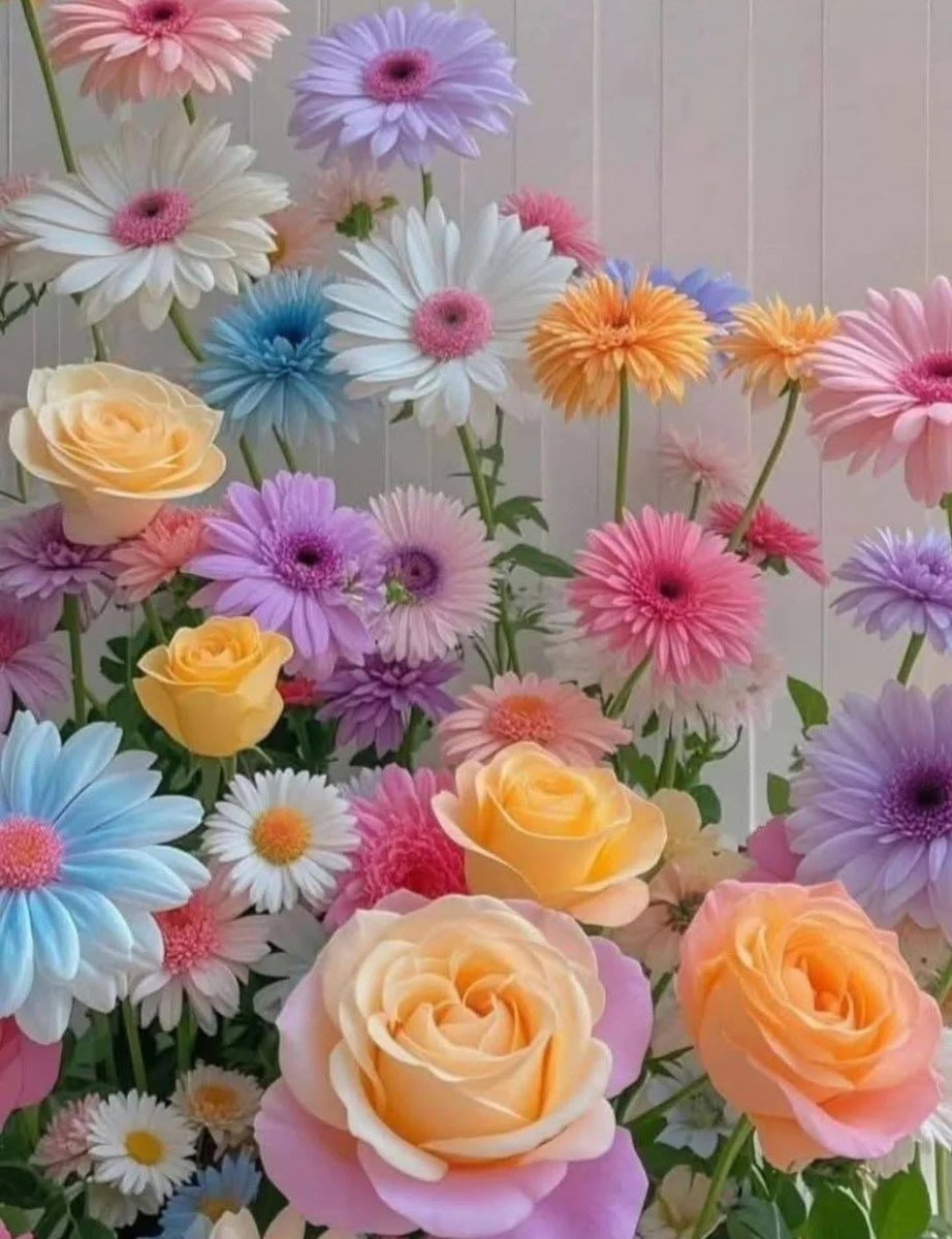 Orhan 🇹🇷🇹🇷🇹🇷 tweet media