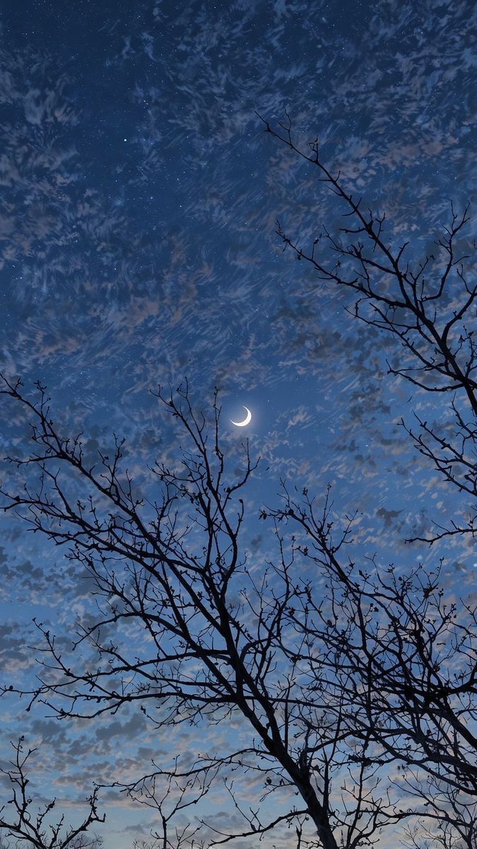 Vaporis 𓆝 𓆟 𓆞 tweet media