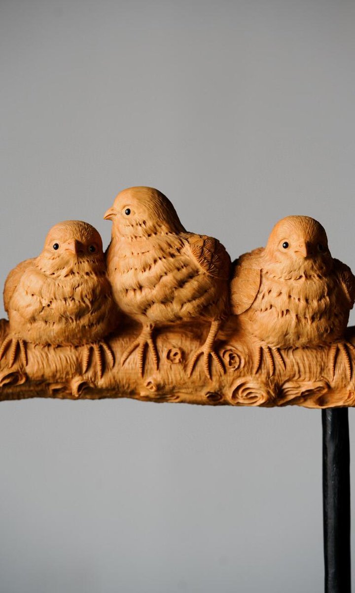 ほししお tweet media