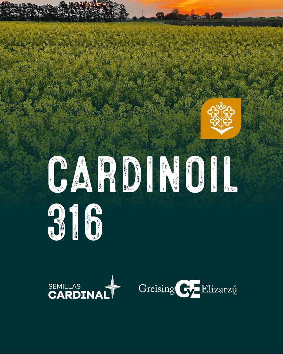 Semillas Cardinal tweet media