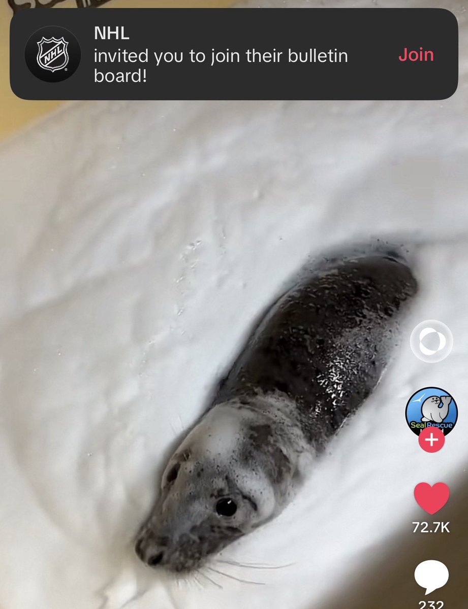Please don’t send me notifications like this during my seal time